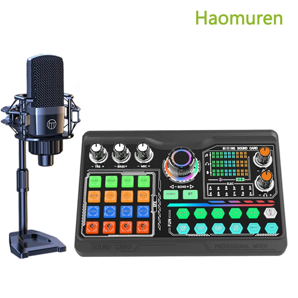 Haomuren P300 Mikrofon- und Soundkarten-Set für Streaming